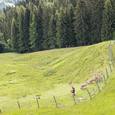 Puitalm - I I Otel Arzl im Pitztal