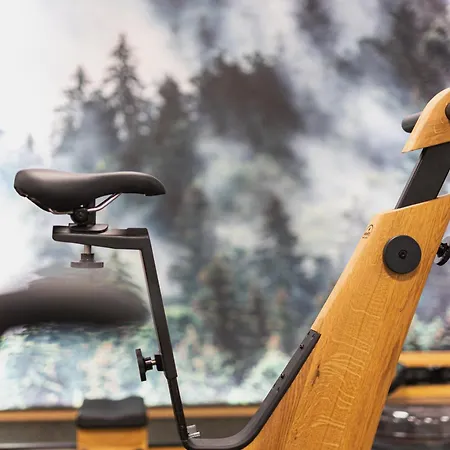 Otel Puitalm - I I 4*