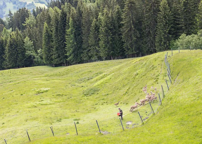 Puitalm - I I Szálloda Arzl im Pitztal